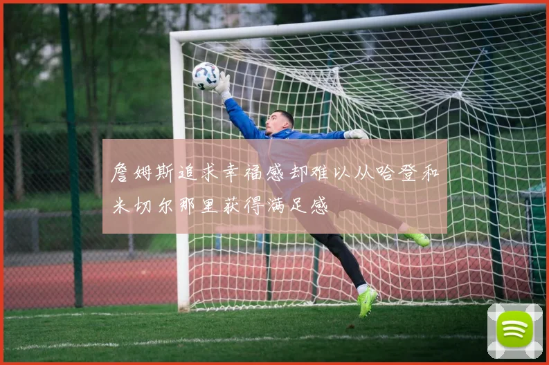 詹姆斯追求幸福感却难以从哈登和米切尔那里获得满足感